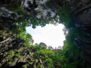 एक धरोहर, प्राचीन शैल चित्रों का संग्रह – क्या है सिंघनपुर की दुर्गम गुफाओं का रहस्य?